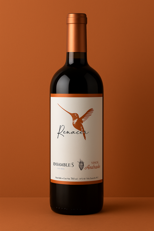 ENSAMBLE 5 - RENACER