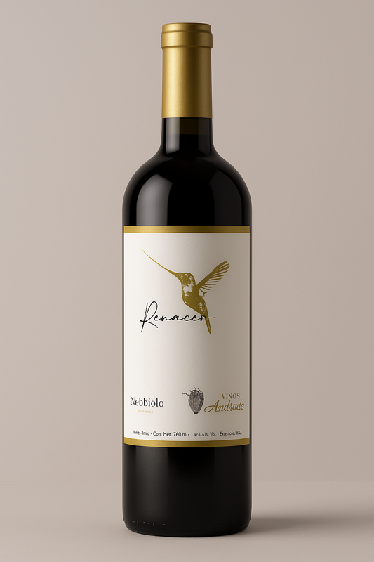 NEBBIOLO - RENACER