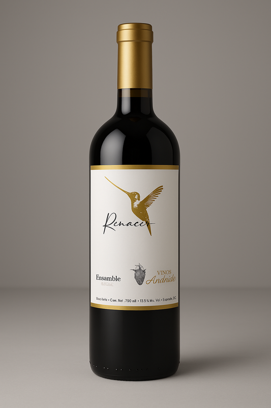 ENSAMBLE - RENACER